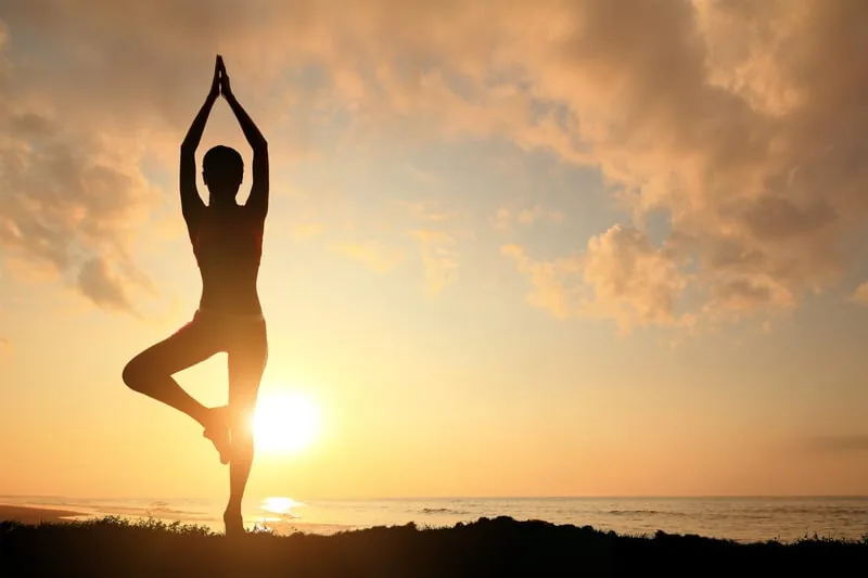 Wellness Activity